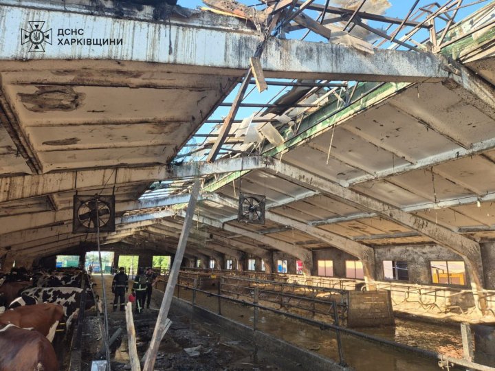 Росіяни обстріляли сільськогосподарське підприємство на Харківщині Росіяни обстріляли сільськогосподарське підприємство на Харківщині