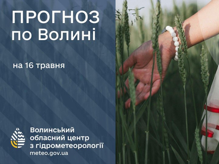 Погода в Луцьку та Волинській області на завтра, 16 травня Погода в Луцьку та Волинській області на завтра, 16 травня